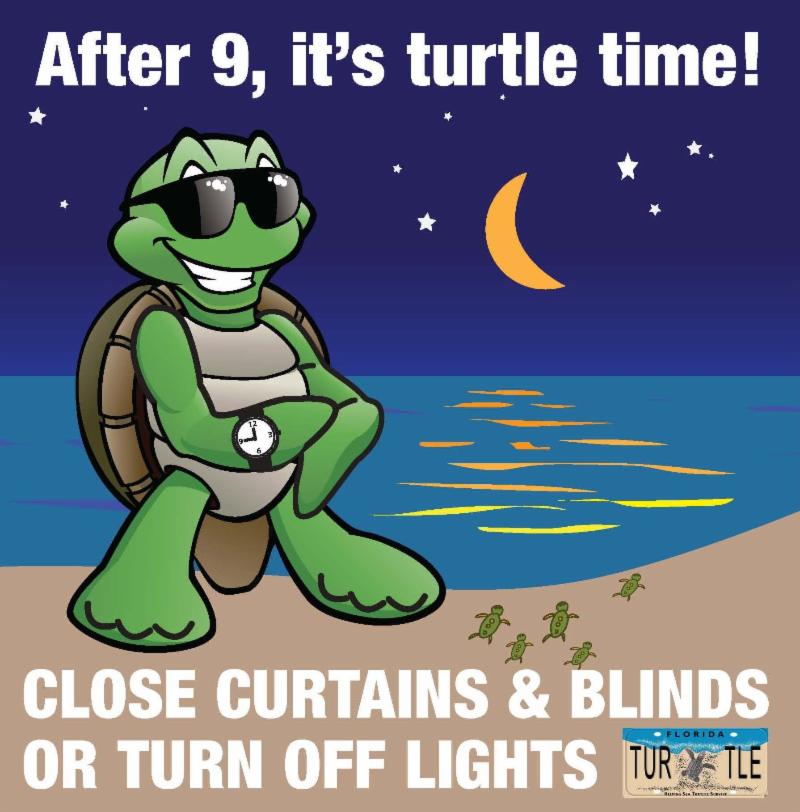 Nesting season under way: Keep Sanibel’s sea turtles in the dark ...